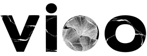 Logo-vioo-concept